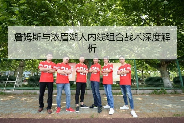 詹姆斯与浓眉湖人内线组合战术深度解析 - lols16
